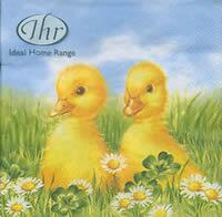 3131 - Ducklings