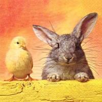 3123 – Rabbit and chicken