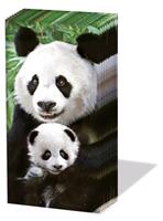 3089 - Pandabjørne - Lommetørklæde