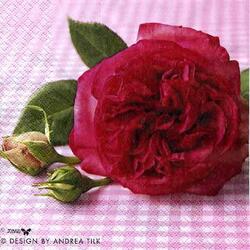 2262 - Blooming Red rose