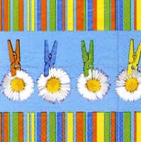 2205 - Daisies and clothespins