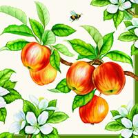 4490 - Apple tree - Cream