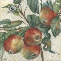 4491 - Apple Branch - Coffee Napkin
