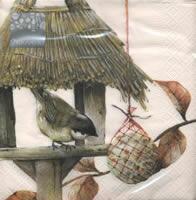 4518 - birdhouse with young titmouse
