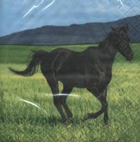 4631 - Wild horses - Coffee napkin