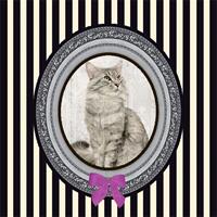 4144 - Cat in frame - Feline deluxe