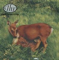4807 - Deer mit Kind und Hirschböcke