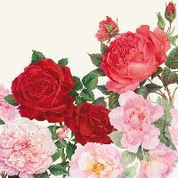 4784 - Rose garden