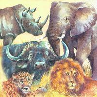 4841 - De 5 største jungledyr