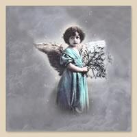 5031 - Angel girl