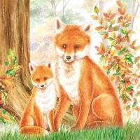 5088 - Family Fox