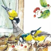 5137 - Uccello - Birds