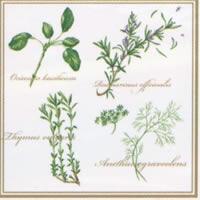4085 - Herbs