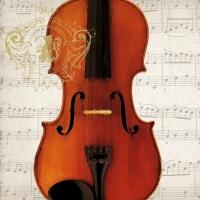 5213 - Violinkoncert