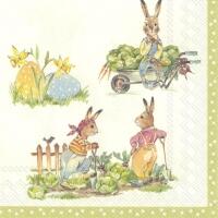 5243 - Stories of Bunnies - Cream