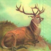 5240 - Lordly deer
