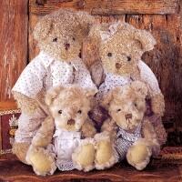 5254 - Familien teddybjørn