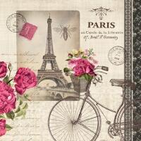 5228 - Paris - Cykel og Eifeltårn