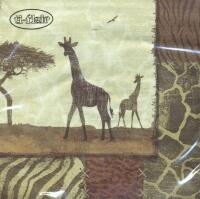 5327 - Giraffer på savannen
