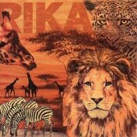 5451 - Afrika Collage med løver og andre jungledyr