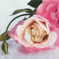 4045 - Pink Roses