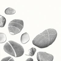 4041 - Scattered stones