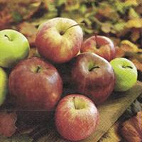 4007 - Friske æbler