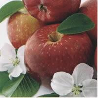 3957 - Æbler og æbleblomster