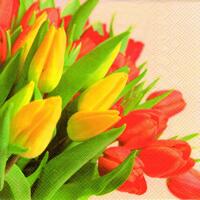 3742 - Tulipaner