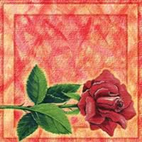 3553 - Rød rose