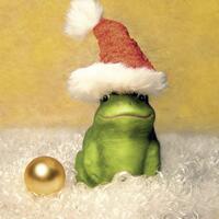 3515 - Frog with Santa hat