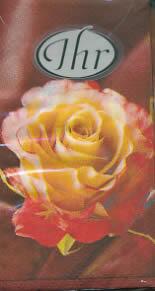 2610 - Rose - Lommetørklæde
