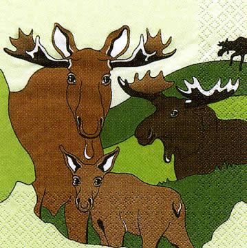 2443 - Moose