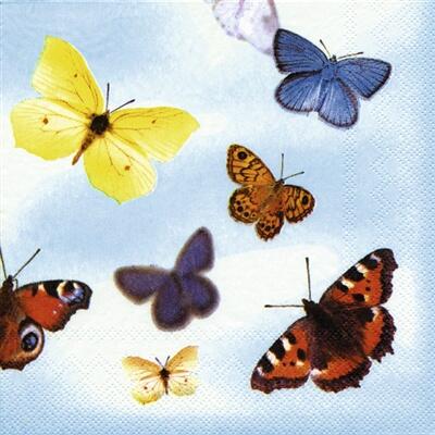 4225 - Butterflies l.blå