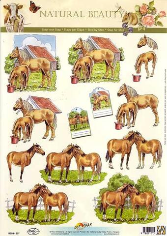 11053-307 Horses