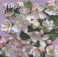 4440 - Apple flowers