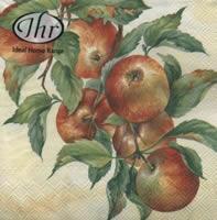 4493 - Apple harvest - cream