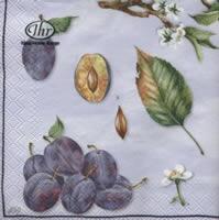 4501 - Blue plums in many stages - Coffee Napkin