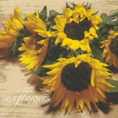 4542 - Sunflowers