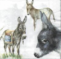 4145 - Donkeys