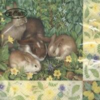 4704 - Four bunnies