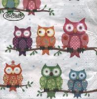 4795 - Colourful Owls