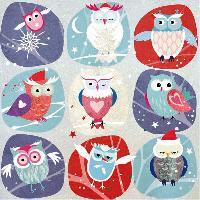 4857 - Funny owls - Blue