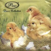 4936 - Easter Chicks