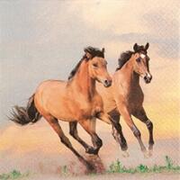 5081 - Wild horses