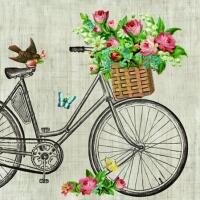 5169 - Damecykel med blomsterkurv