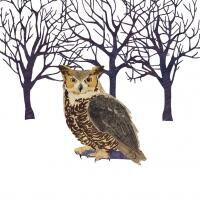 5233 - Winter Owl