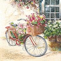 5225 - Cykel med kurv med blomster