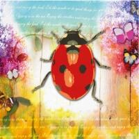 5293 - Ladybug and flowers