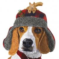 5375 - Hunden Oliver med hat og egern